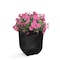 Mayne Valencia 8in Planter - Black 3870-B - alternate 1